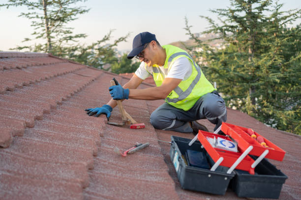 Best Roof Restoration Services  in Bigfork, MT