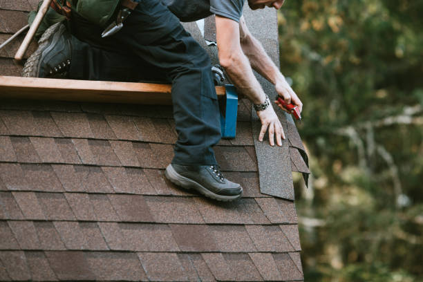 Best Roof Repair Services  in Bigfork, MT